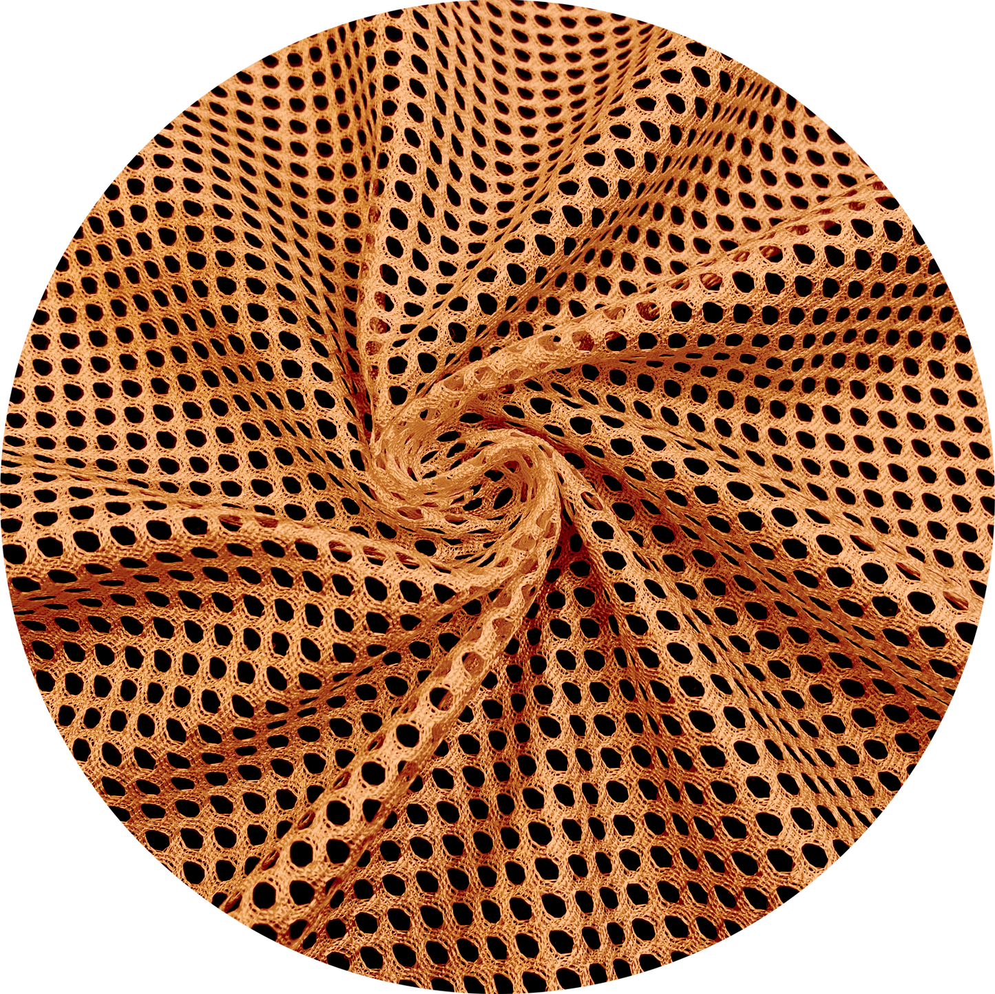 [ROCHA'S] CORNET FABRIC