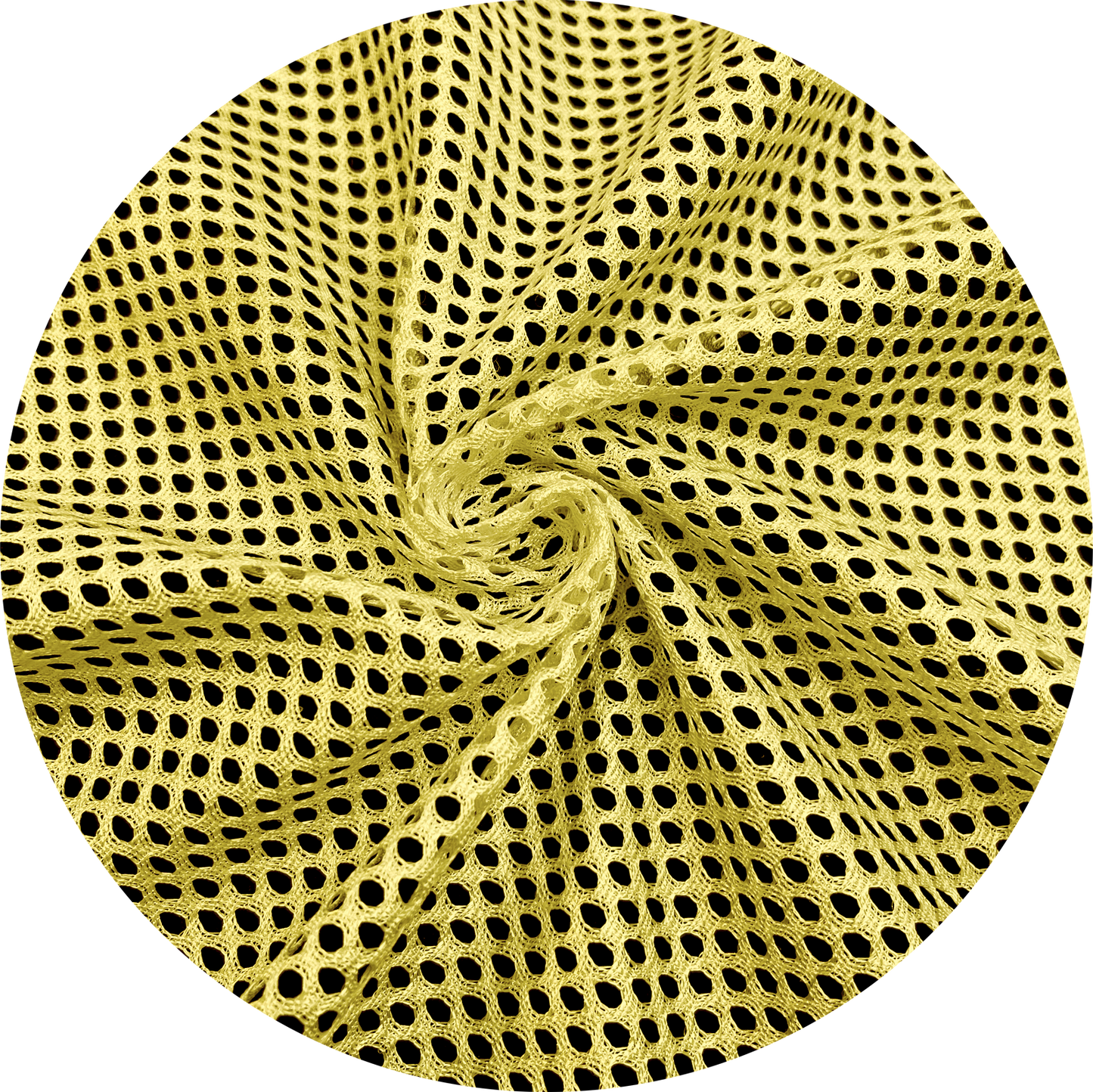 [ROCHA'S] CORNET FABRIC