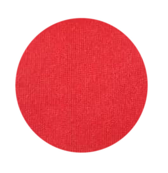 [ROCHA'S] QUIANA LINING FABRIC